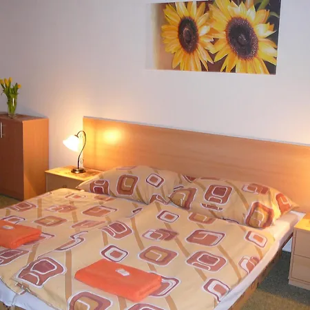 Pension A Restaurace U Mydlaru 3*