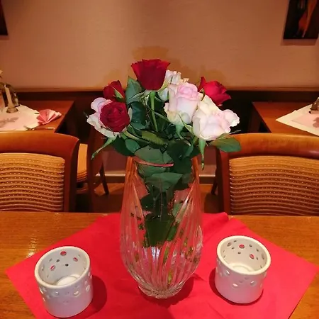 Pension A Restaurace U Mydlaru 3*