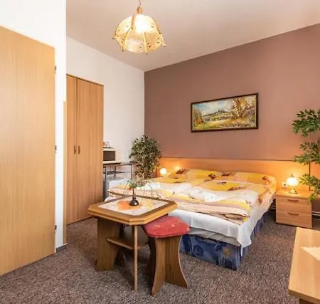 Pension A Restaurace U Mydlaru Guest house 3*