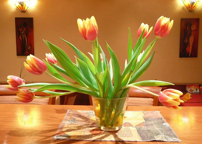 U Mydlářů 3* Mnichovo Hradiště